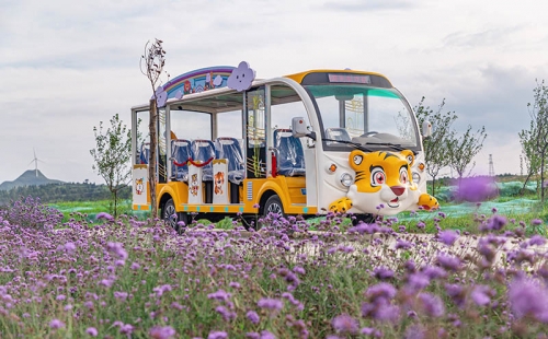 電動觀光車廠家哪個品牌好，電動觀光車市場價格